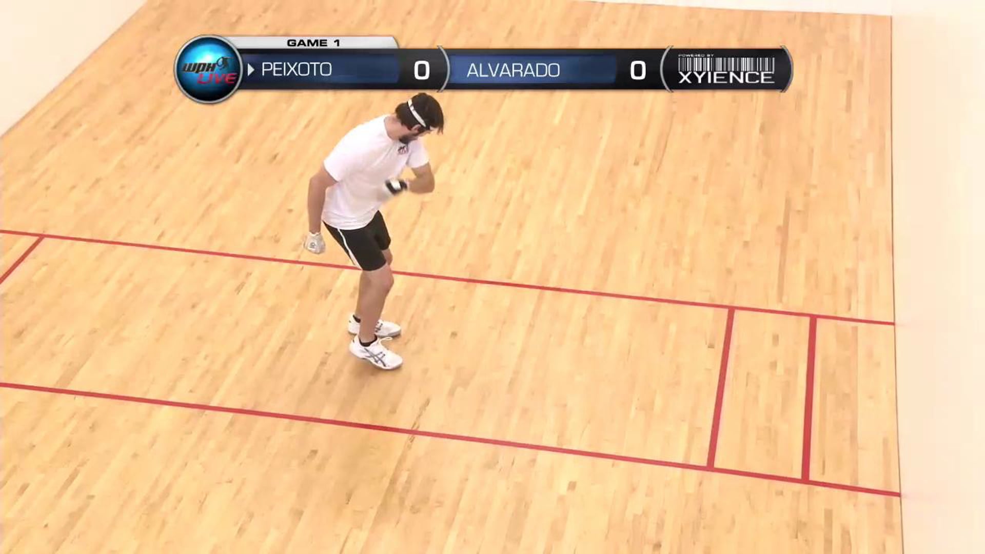 2013 HOUSTON PEIXOTO VS ALVARADO