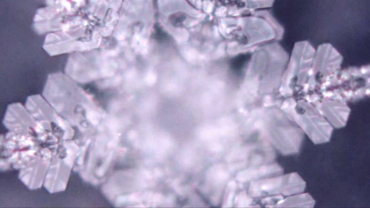 Dr. Masaru Emoto Rice Experiment on Vimeo