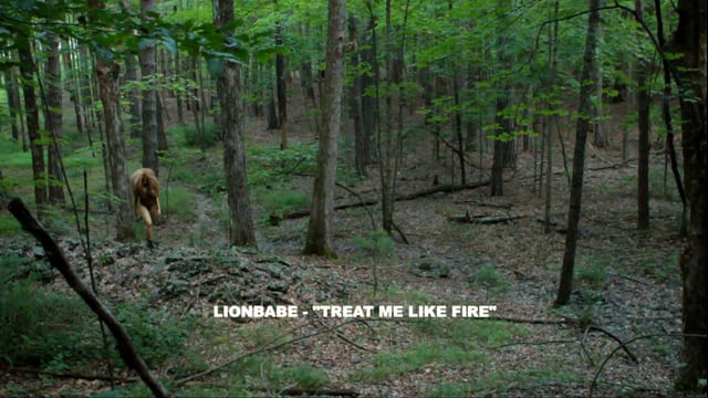 LION BABE - TREAT ME LIKE FIRE thumbnail
