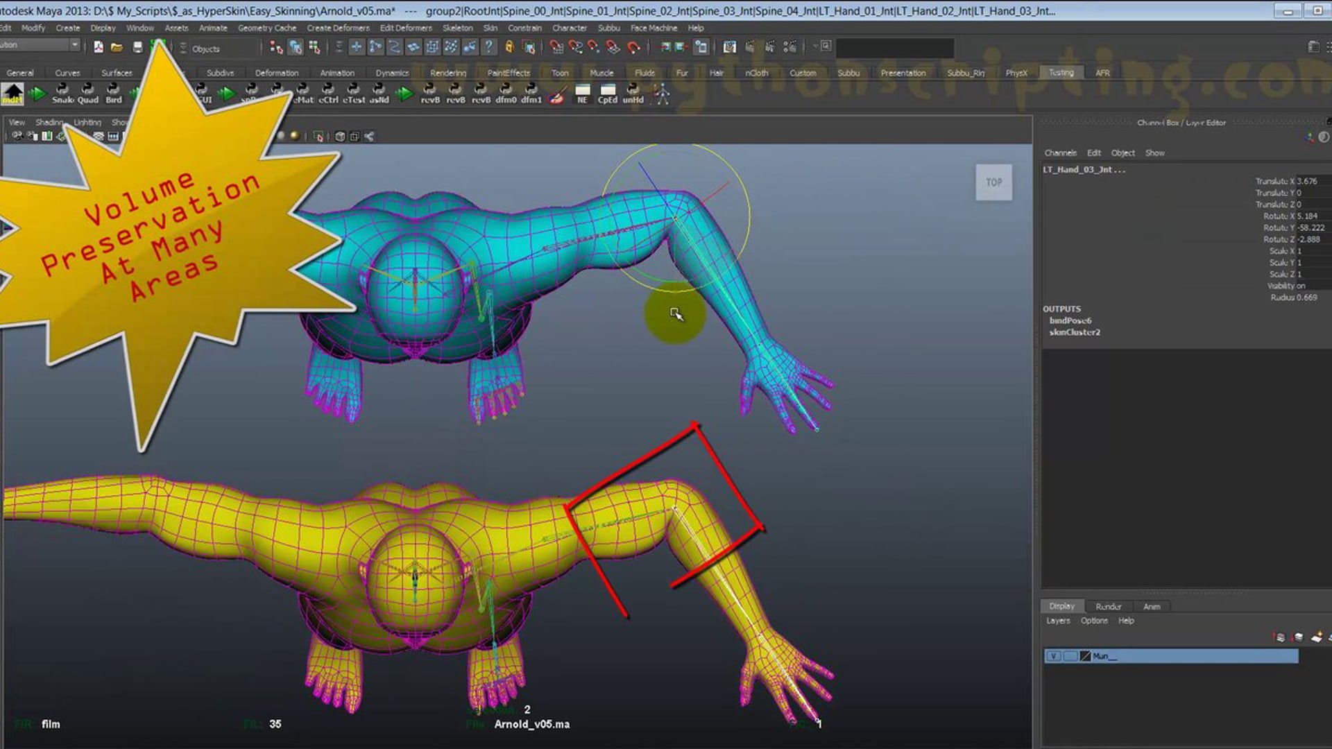 as_HyperSkin : Auto Skinning - State Of The Art Skinning Tool For Maya