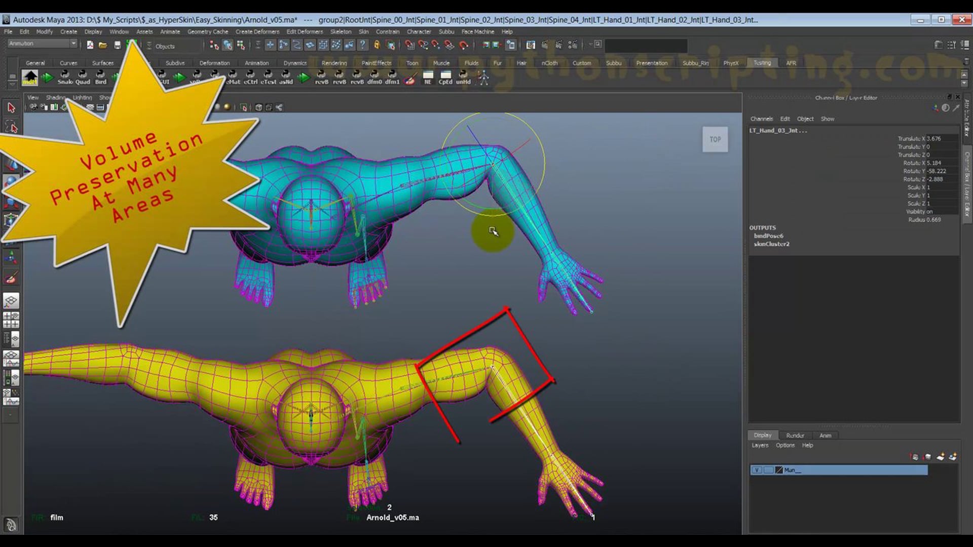 as_HyperSkin : Auto Skinning - State Of The Art Skinning Tool For Maya