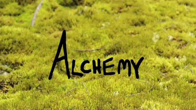 Alchemy Teaser2