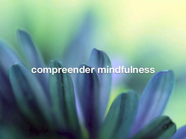 parte 1 | compreender mindfulness