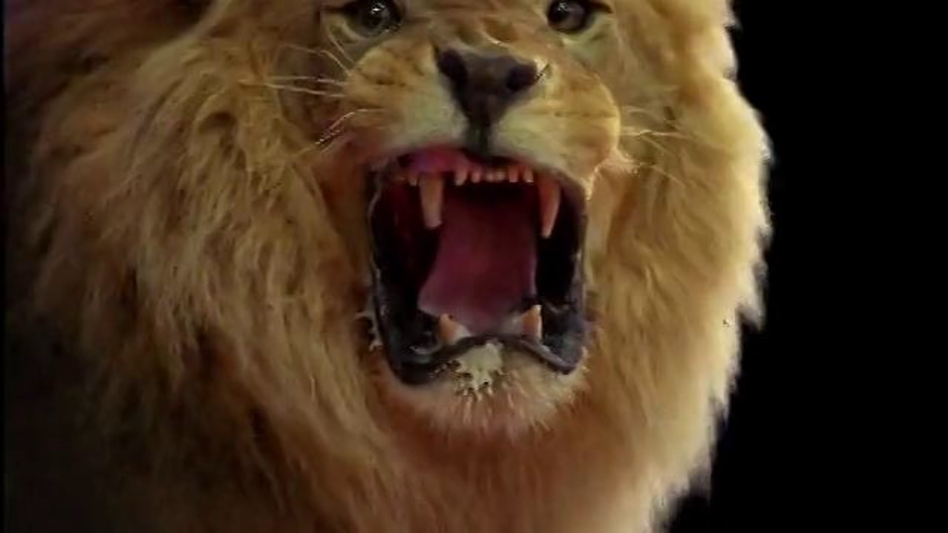 James Patterson Zoo