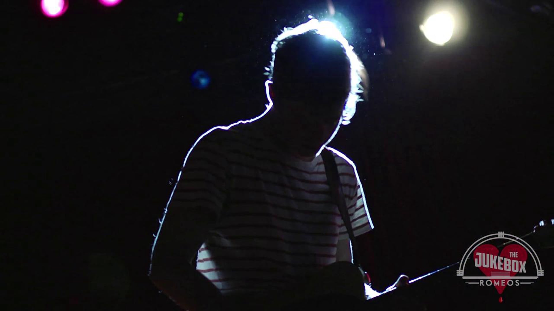 Wild Cub