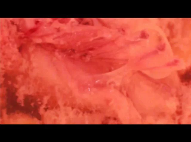 Sequence 1 on Vimeo