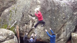Fontainebleau 2013