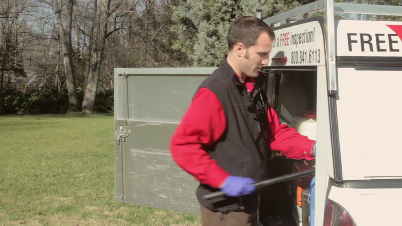 Go Forth Pest Control on Vimeo