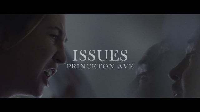 ISSUES - Princeton Ave thumbnail