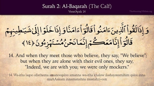 Quran surahs in english