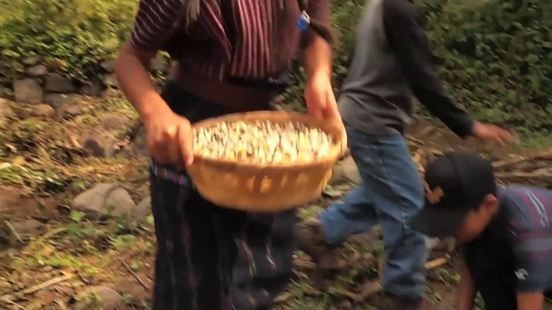 Escuela Caracol - Classroom Campaign 2012