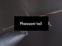 Pheasant tail