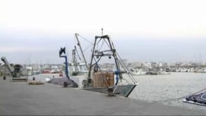 Poca Pesca