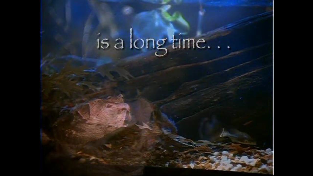 “Appetite” for Newport Aquarium