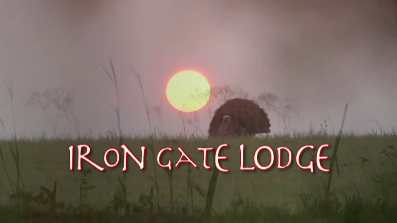 Turkeys from Iron Gate Lodge on Vimeo