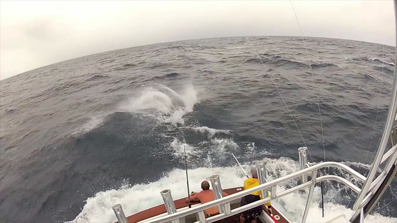 Black Marlin Teaser reel on Vimeo