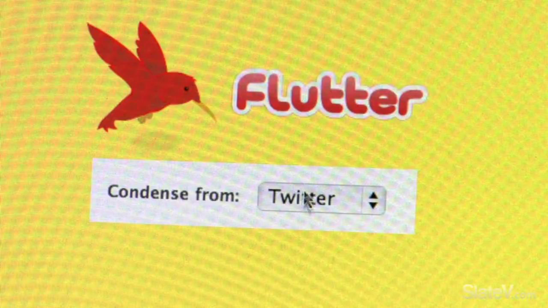 Lucas Reel: "Flutter: The New Twitter"