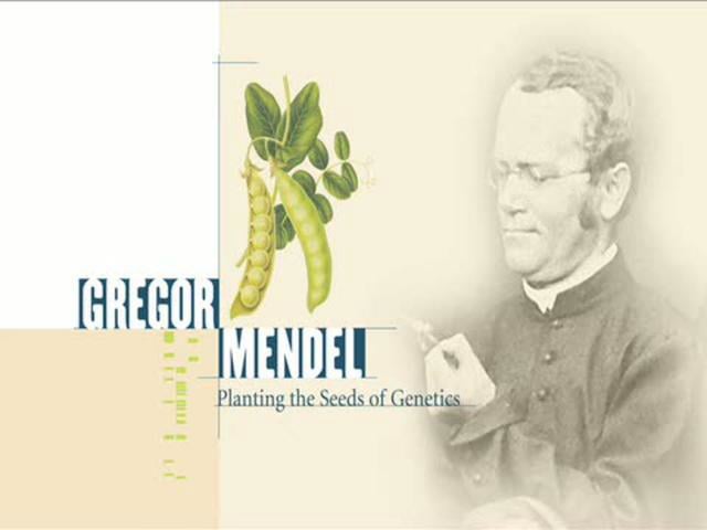 Gregor Mendel and George Washington Carver Exhibits on Vimeo