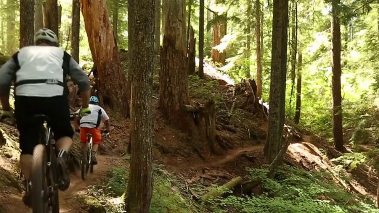 Mckenzie river cheap trail mountain biking