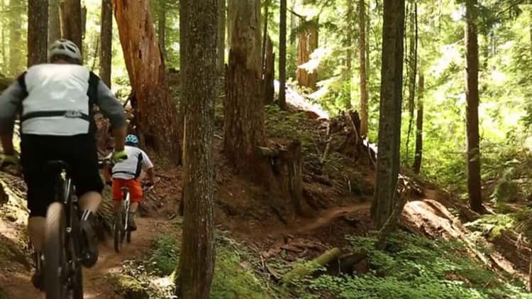 Mckenzie river trail mountain 2024 biking