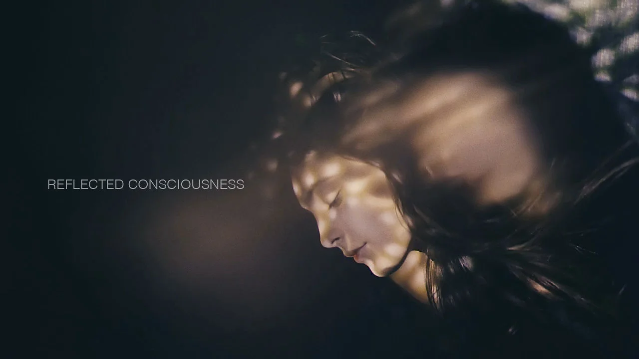 Reflected Consciousness on Vimeo