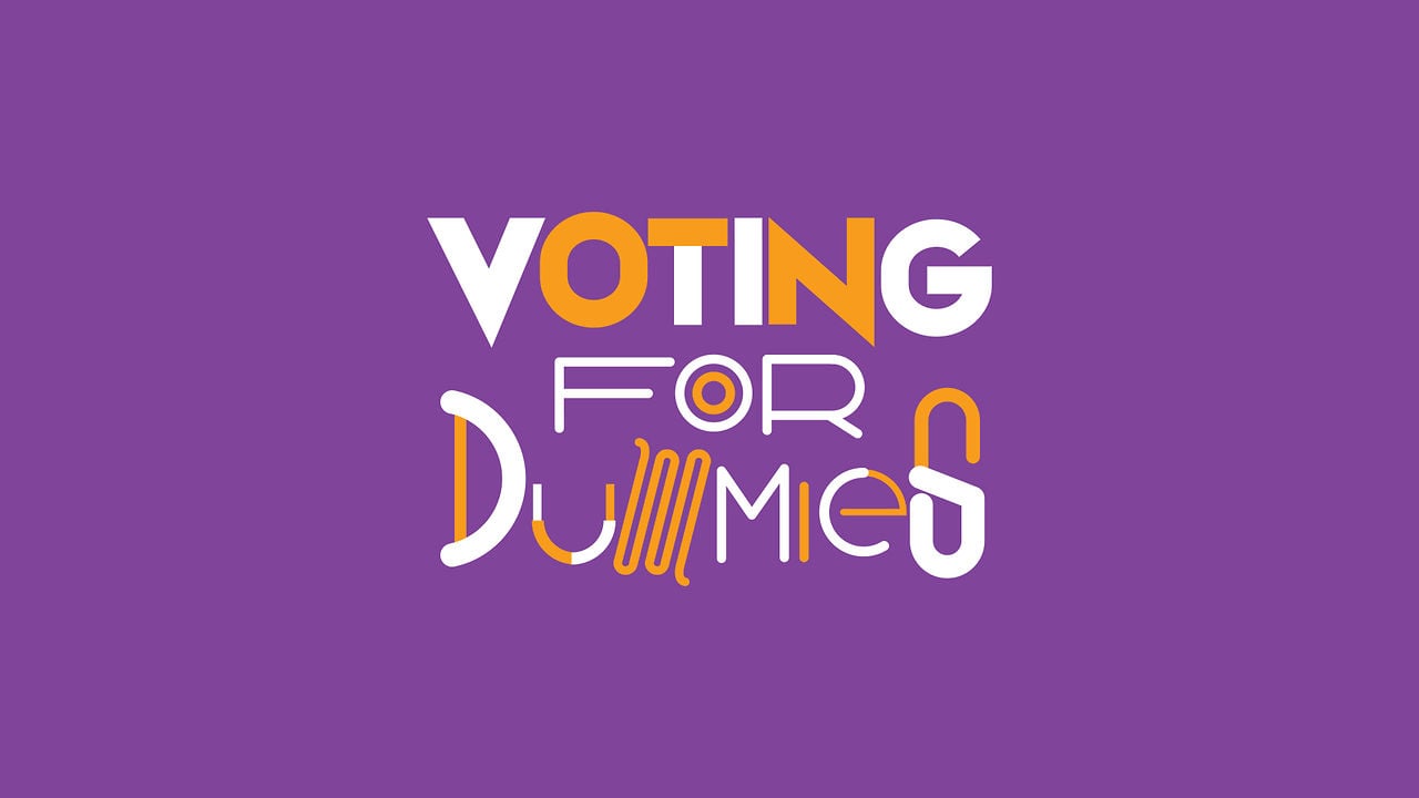 Voting for Dummies on Vimeo