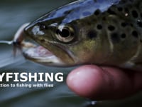 FLY FISHING - introduction to fishing with flies