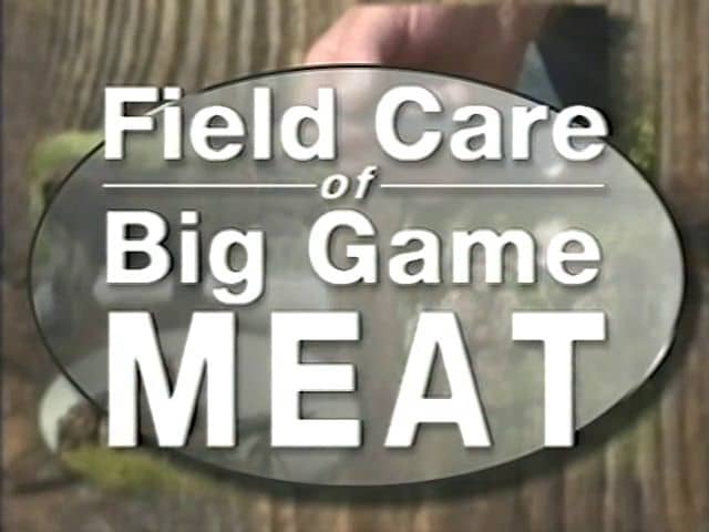 field-care-of-big-game-meat-on-vimeo