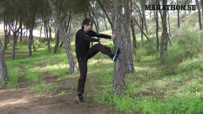 Videor till tr&auml;ningsprogram