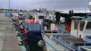 Pescaturisme a l'Escala
