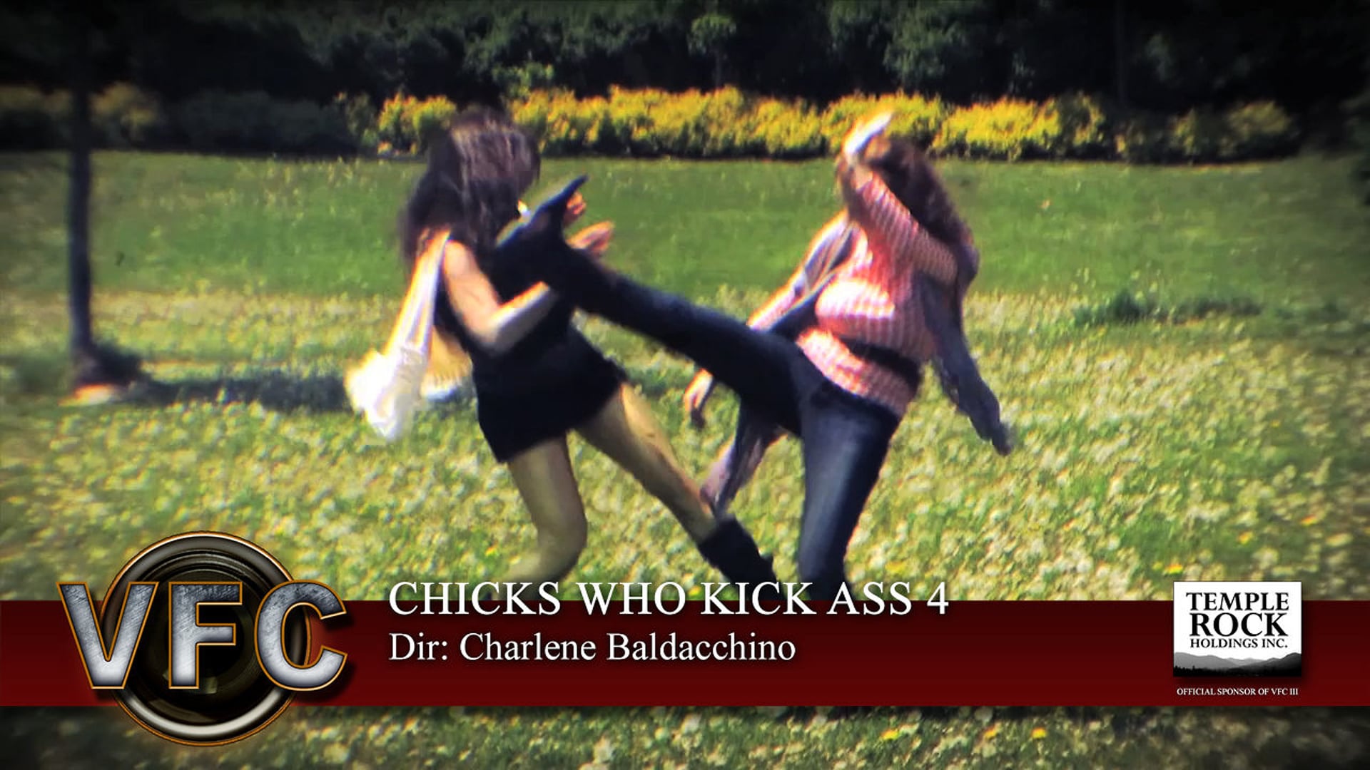Chicks Who Kick Ass 4