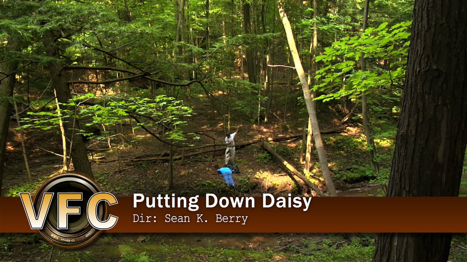 Putting Down Daisy