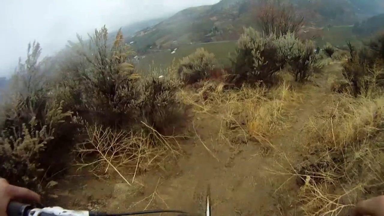 Fall Biking on Vimeo