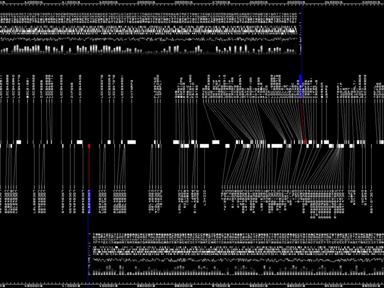ryoji ikeda | datamatics