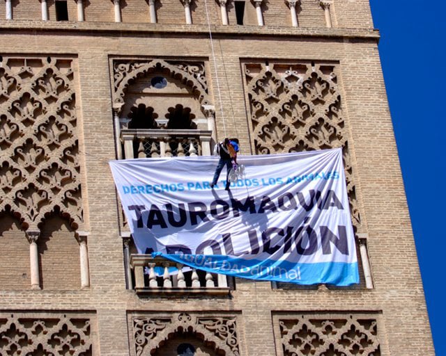 IGUALDAD ANIMAL: Descuelgue en la giralda pidiendo la abolición