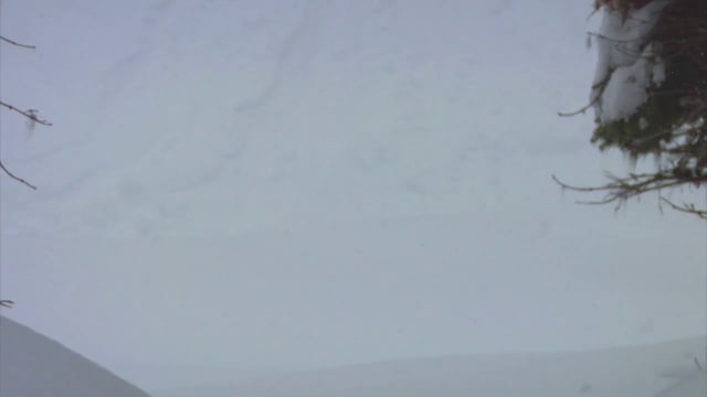 Kevin Griffin Take 2 from kevin griffin