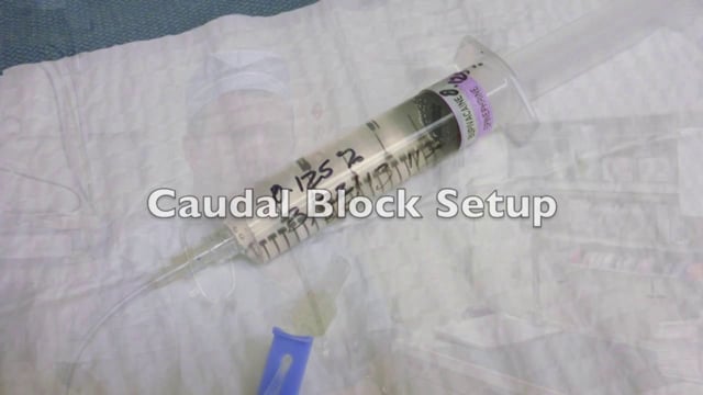 Performing A Caudal Nerve Block In Lch Pediatric Anesthesia Resident Rotation On Vimeo 9368