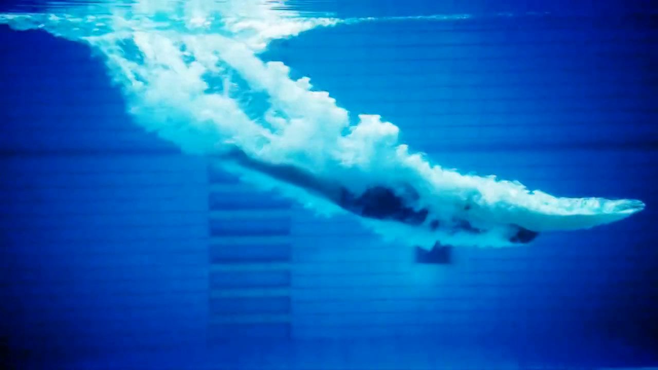 https://i.vimeocdn.com/video/432901308-9a2eee62a8dc67621a1a94484d45c861206b9a7de502267302df2b4dc9dd946c-d