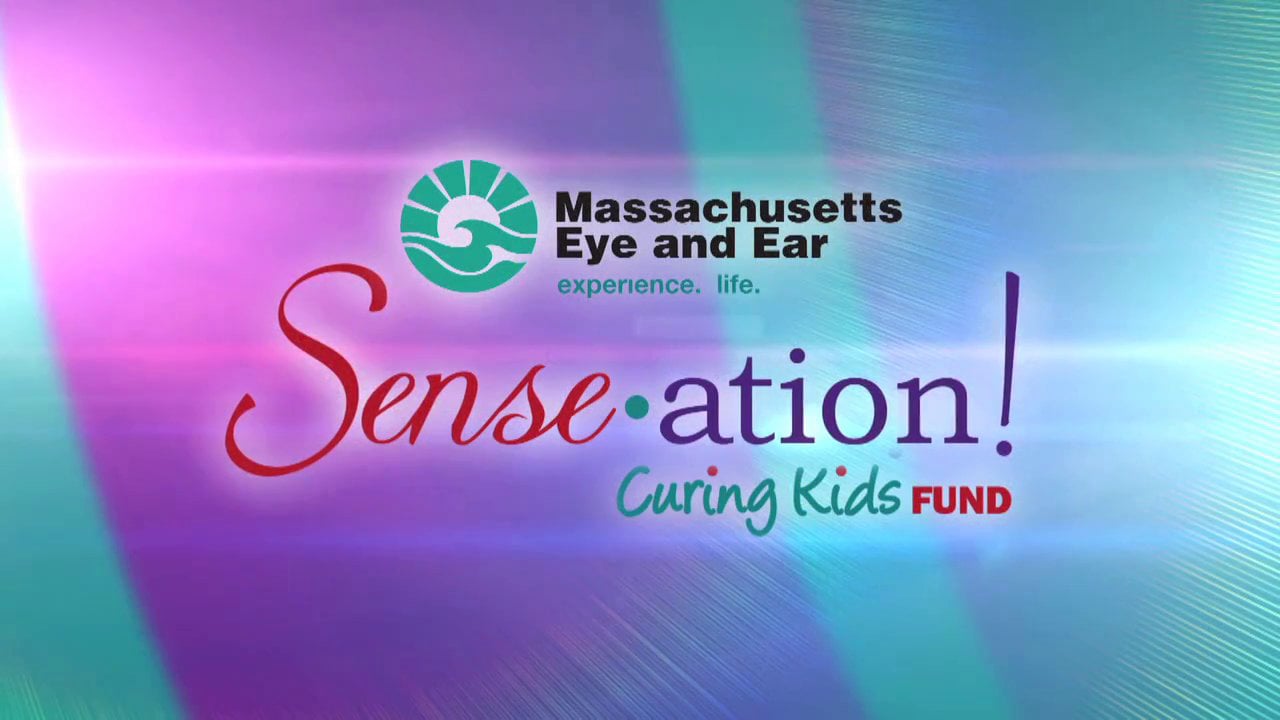 Mass. Eye and Ear Senseation! Gala on Vimeo