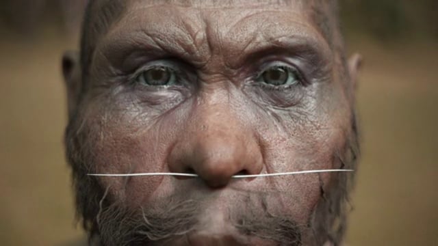 3D Facial Reconstruction on Vimeo