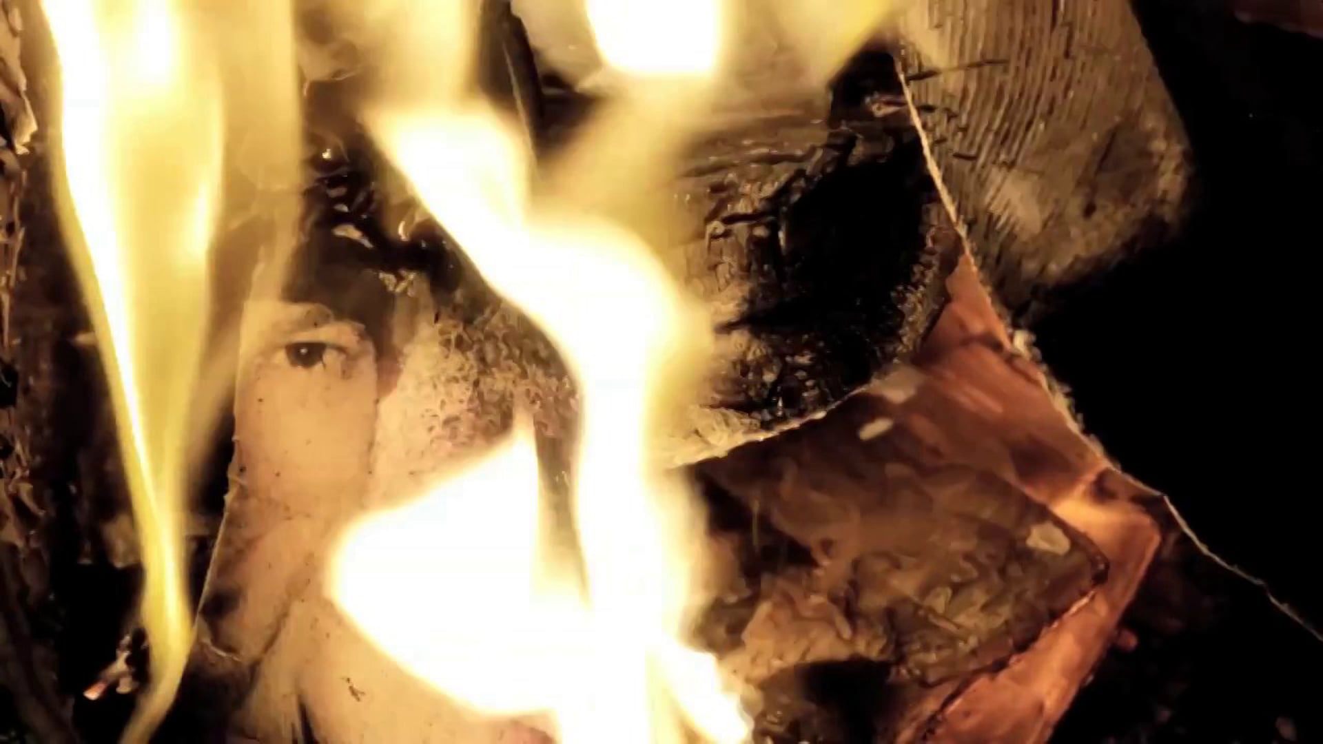 Jeffrey Adam Gutt 'HALLELUJAH'