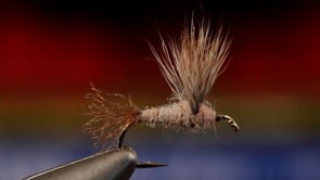 A fly vise holding a undefined after it is tied