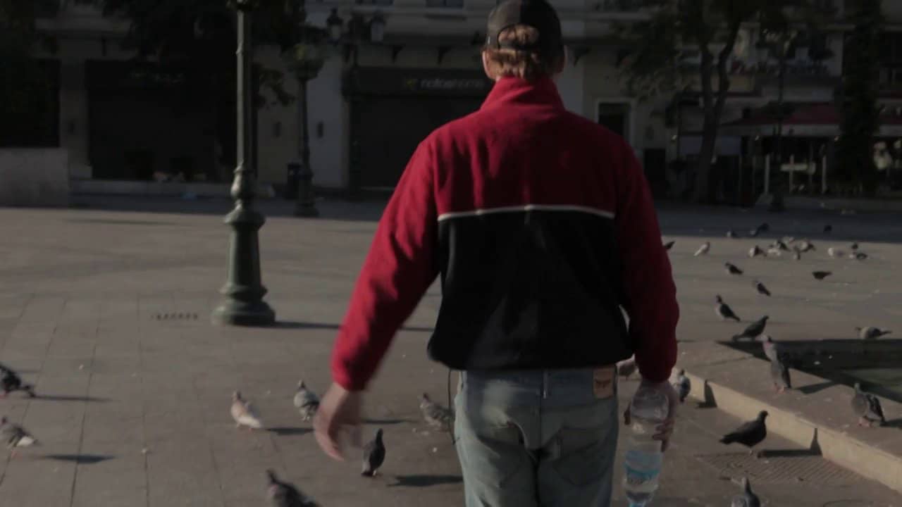 Boy eating the bird's food trailer on Vimeo