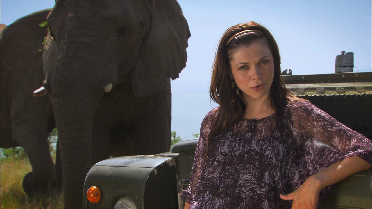 Women And Elephant Sex Video - Wild Sex - You Can't Rape An Elephant on Vimeo