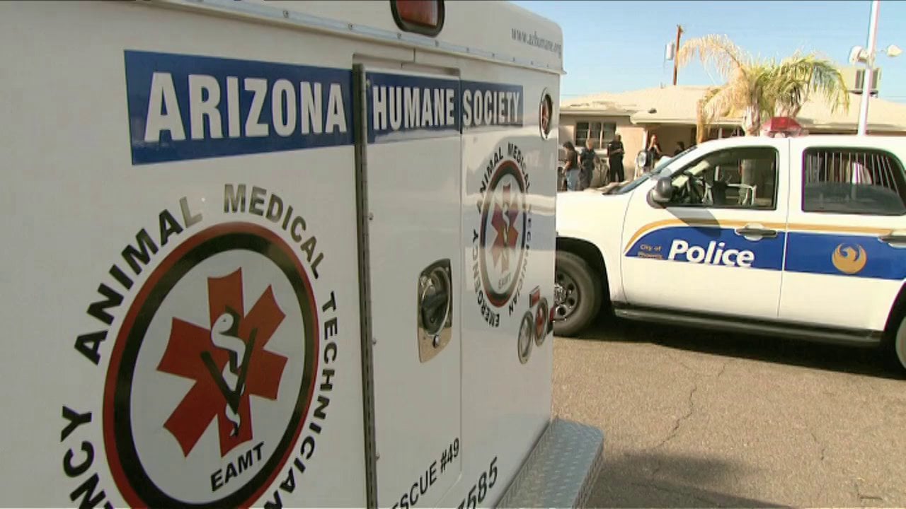 Animal Cops Phoenix Animal Doc Series on Vimeo