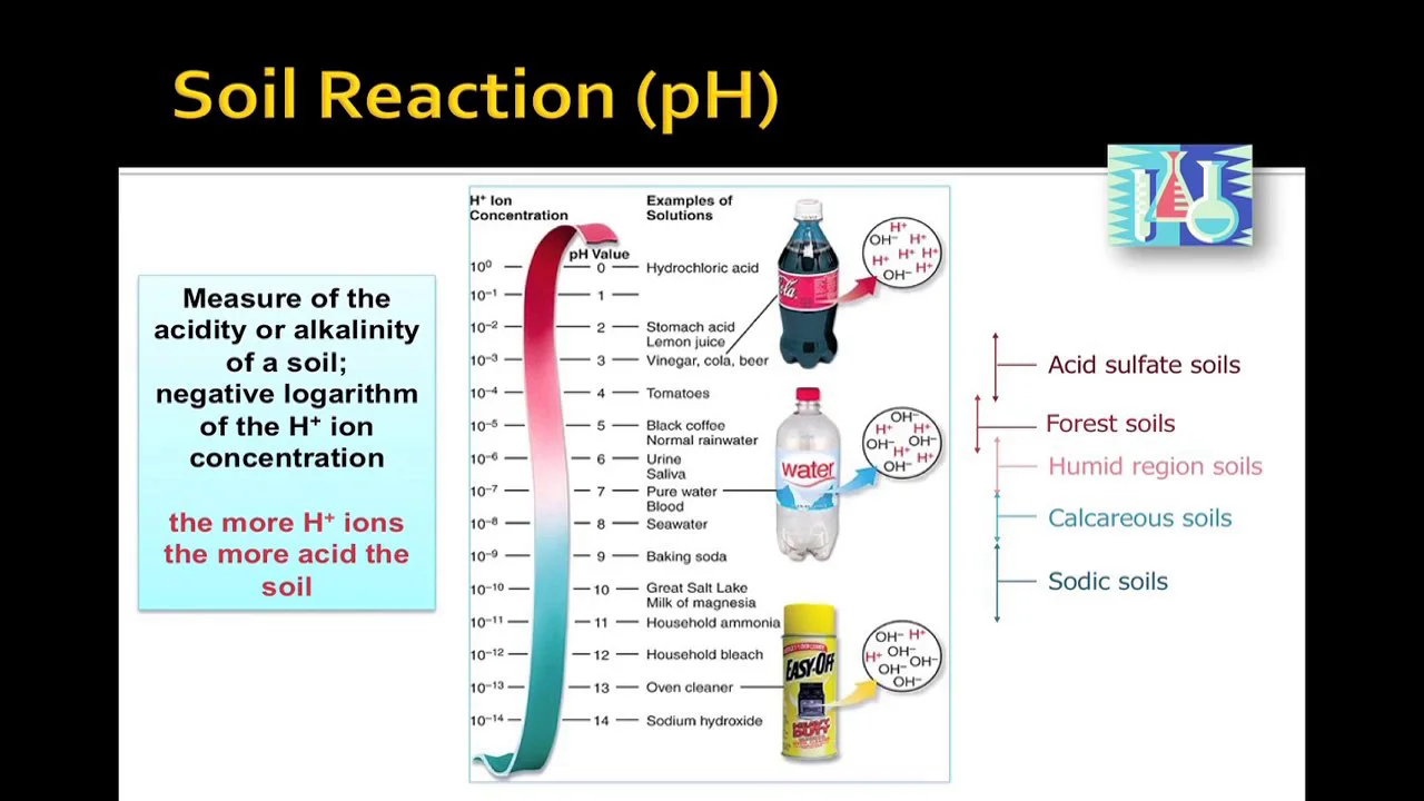Soil Chemistry in Soils 101 on Vimeo