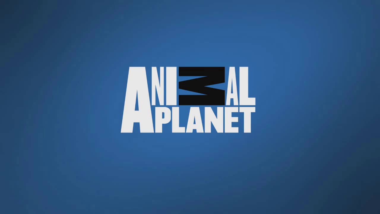 Animal Planet - Infested 30 sec promo on Vimeo