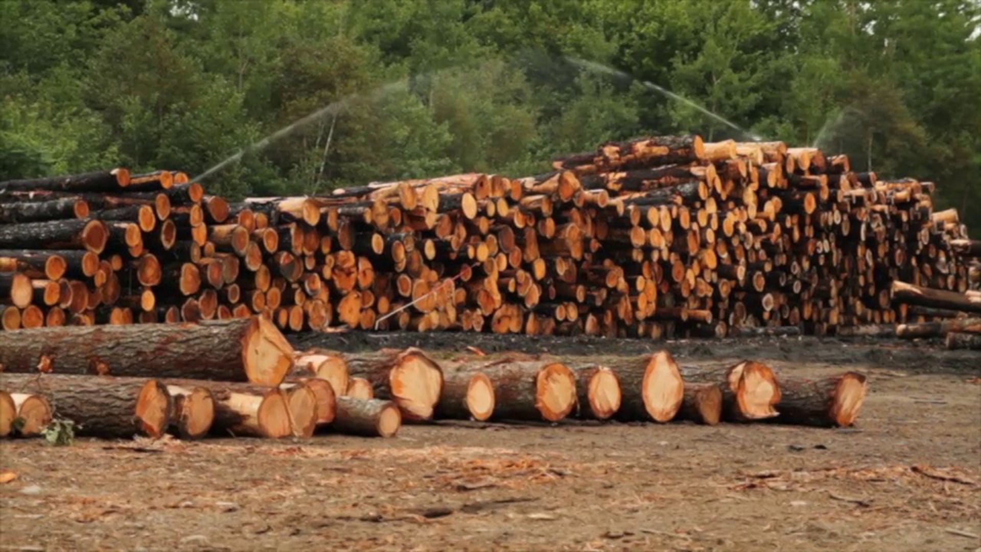 Family Robbins Lumber