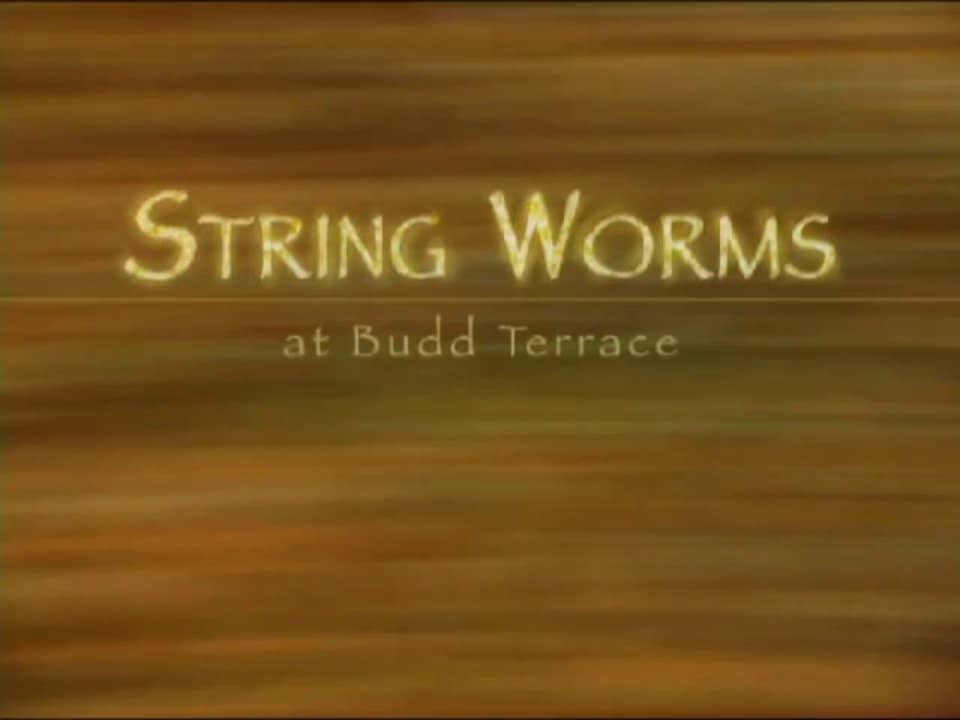 String Worms at Budd Terrace on Vimeo