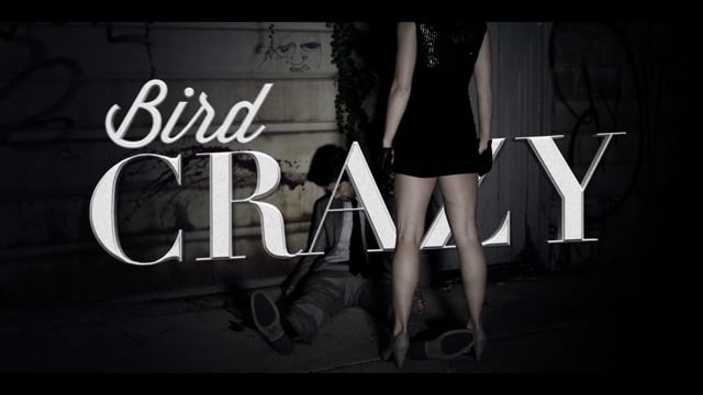Bird - Crazy thumbnail